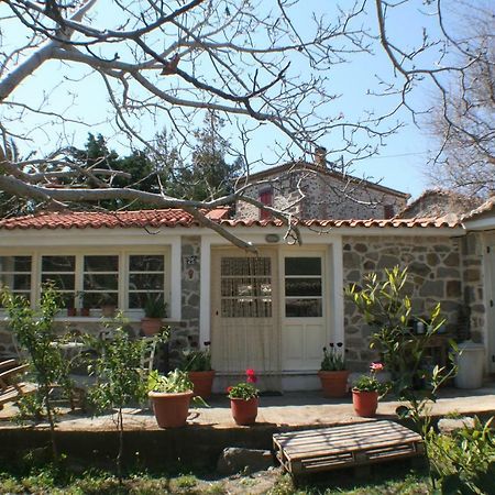 Arcadia Eressos Otel Dış mekan fotoğraf