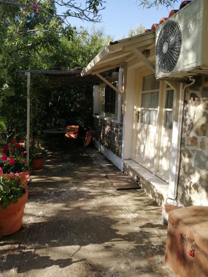 Arcadia Eressos Otel Dış mekan fotoğraf