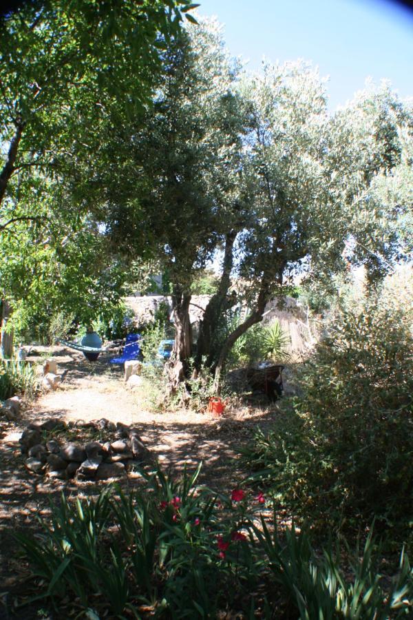Arcadia Eressos Otel Dış mekan fotoğraf