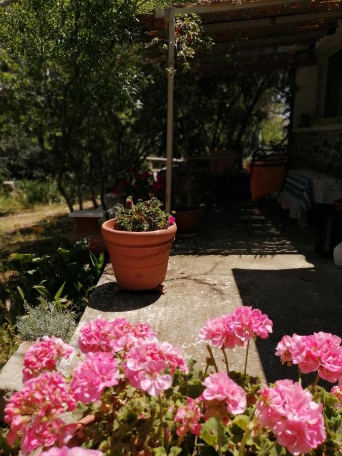Arcadia Eressos Otel Dış mekan fotoğraf