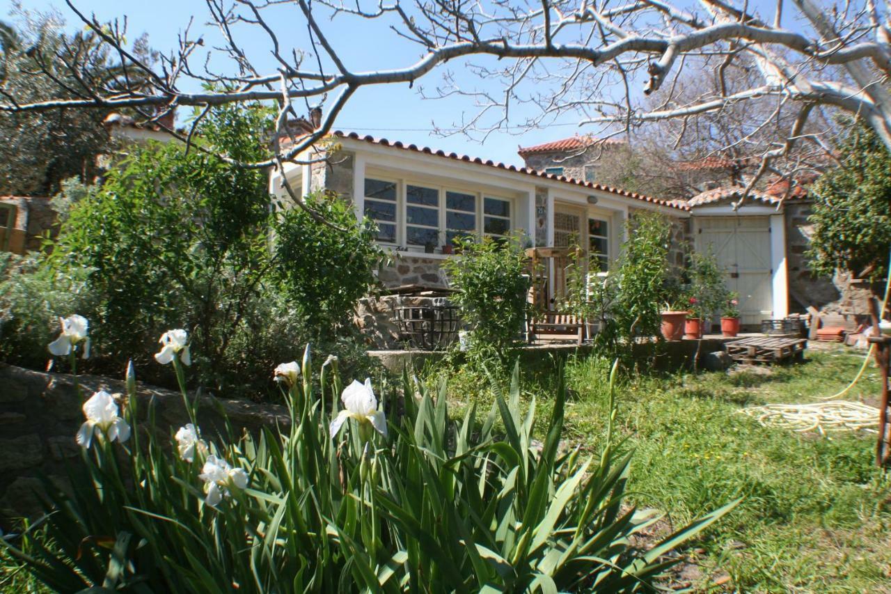 Arcadia Eressos Otel Dış mekan fotoğraf
